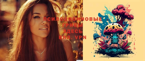 кокс Абаза